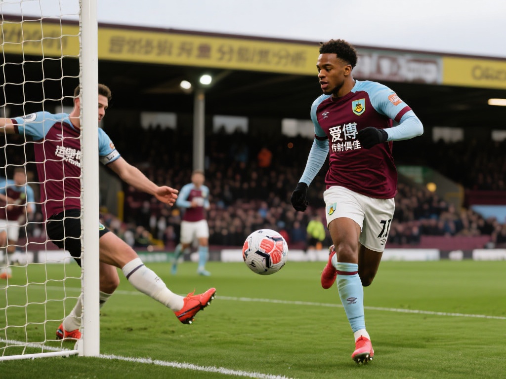 的年轻新星 的年轻新星